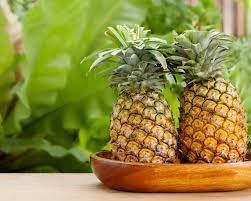 Yellow Pineapple  Live Plant