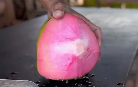 Pink Coconut Dwarf Hybrid Live Plant