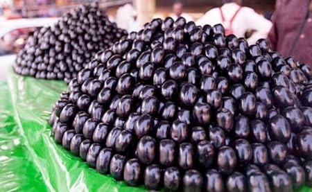 Jamun (Wax Apple Hybrid) Plant/Black Jamun Plant