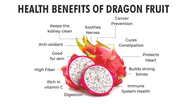 Dragon Fruit Combo (Pink + Yellow) Pack of 2