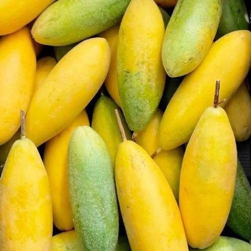 Brazilian Yellow Passion Fruit