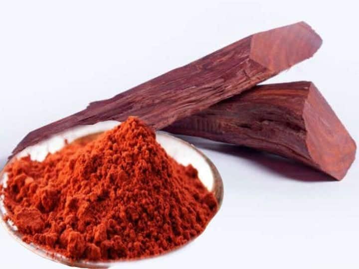 Red Sandalwood (Lal Chandan) Live Plant