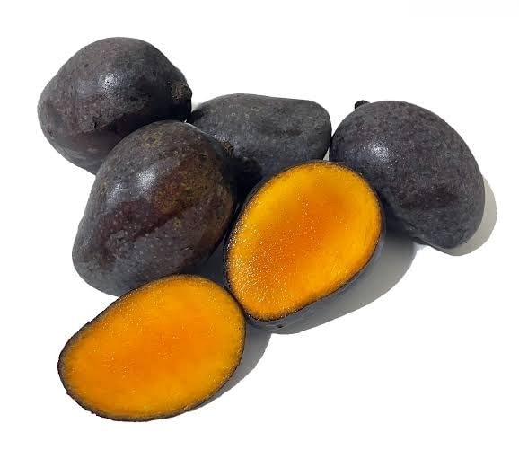 Kasturi Black Mango Grafted Plant