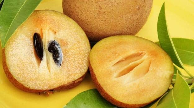 Sapota (Chikoo) Grafted Fruit Plant