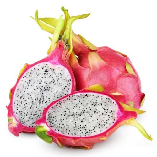 Dragon Fruit Combo (Pink + Yellow) Pack of 2