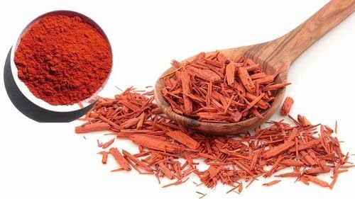 Red Sandalwood (Lal Chandan) Live Plant