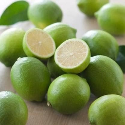 Thai Lemon (Guti Kolom/Air Layered)Live Plant