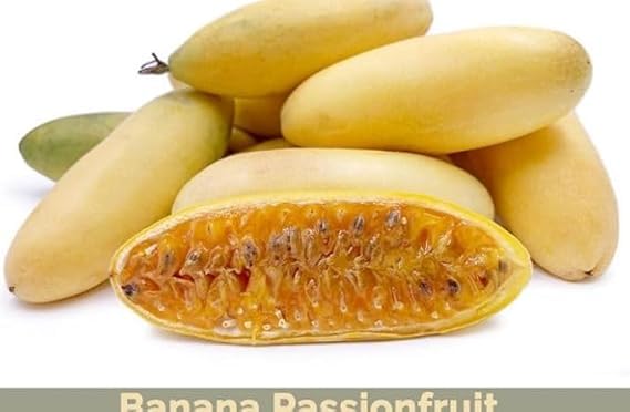 Brazilian Yellow Passion Fruit