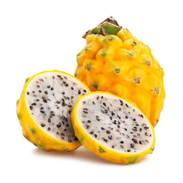 Dragon Fruit Combo (Pink + Yellow) Pack of 2