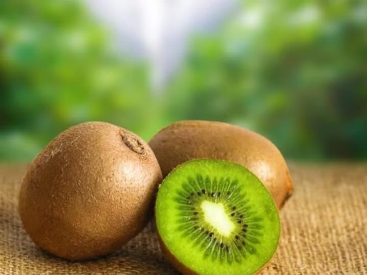 Grey Kiwi Grafted Plant