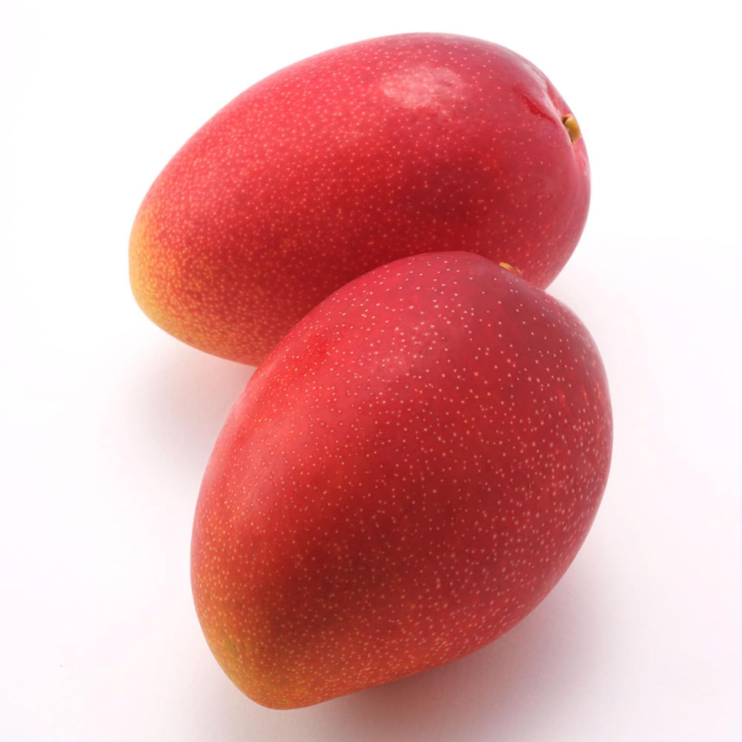 Japanese Miyazaki Mango Grafted