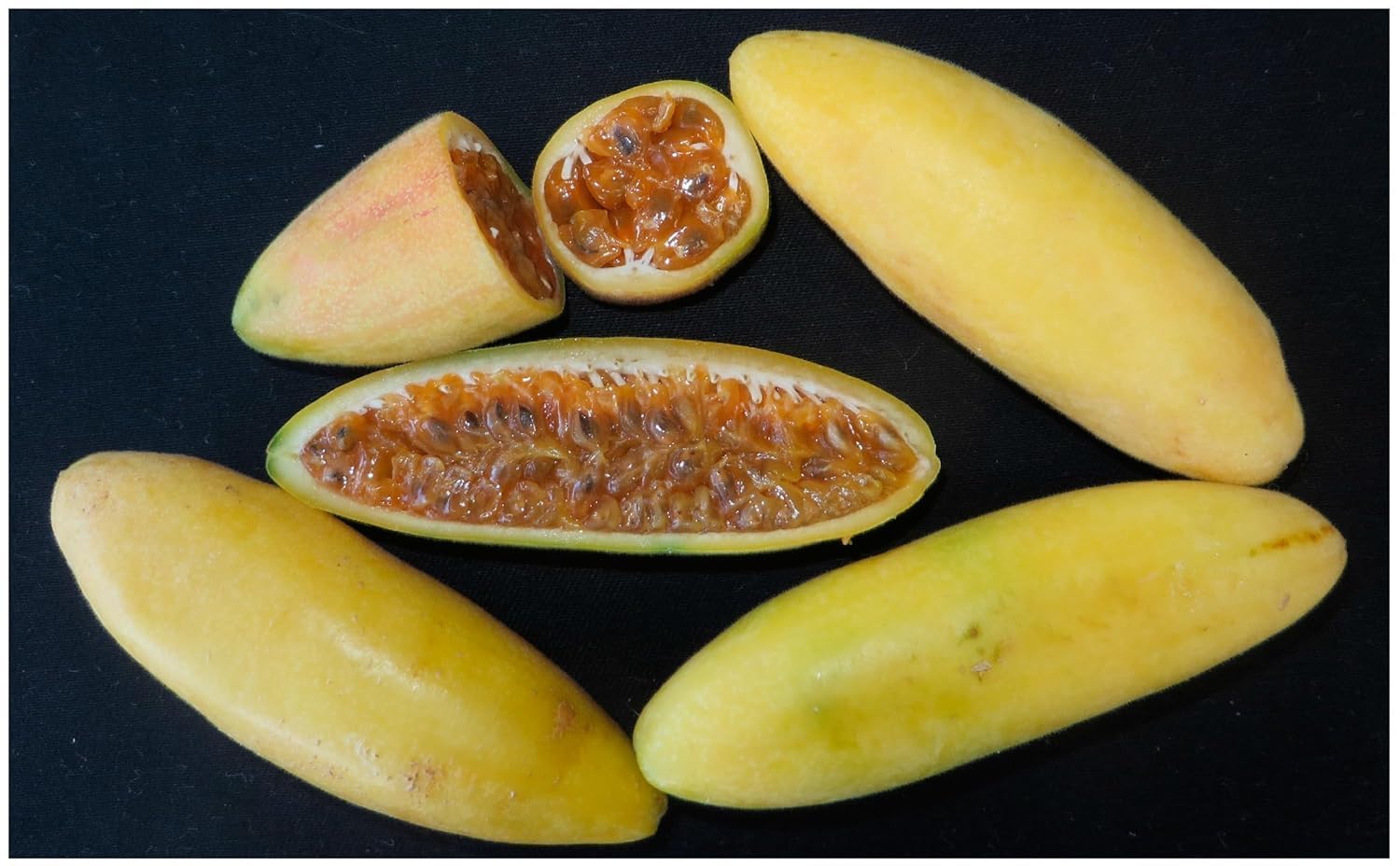 Brazilian Yellow Passion Fruit
