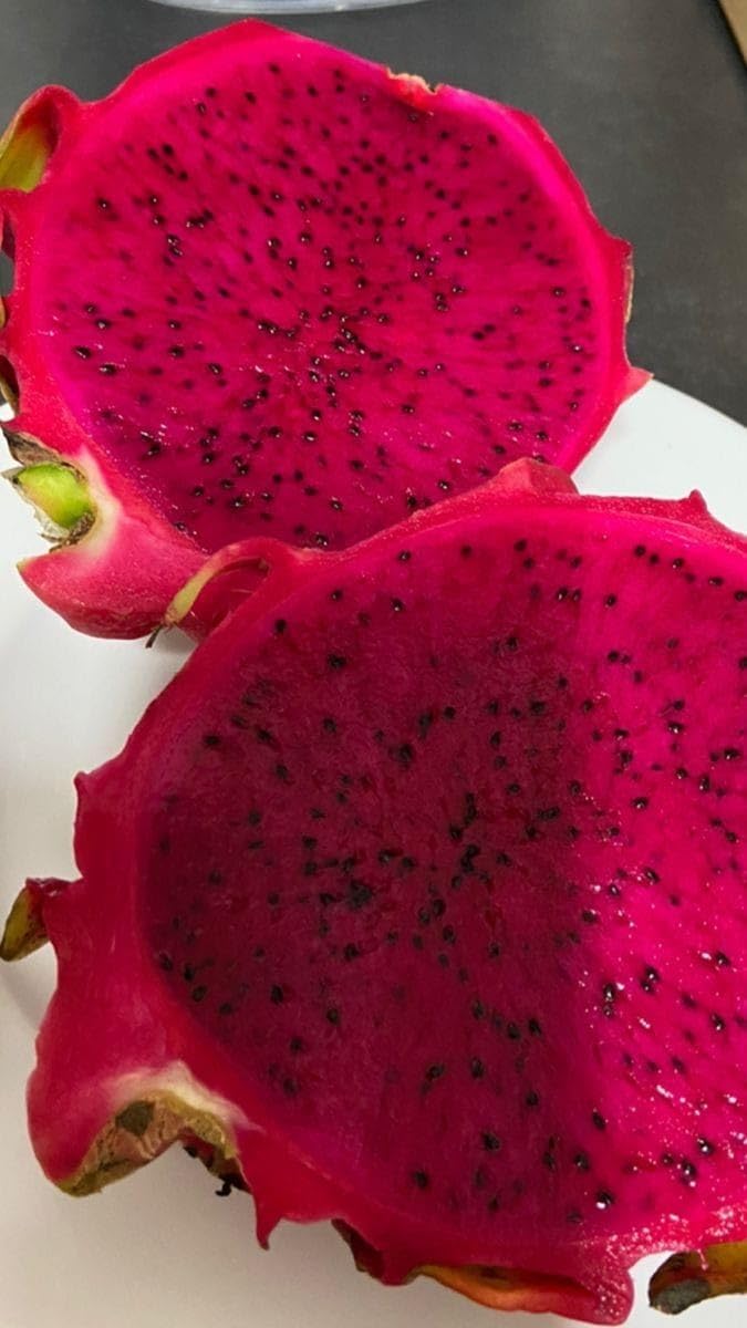 Red Flesh Dragon Fruit (Pack of 2)