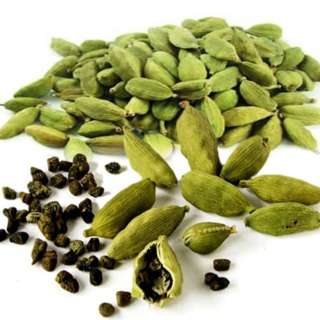 Choti Elaichi (Green Cardamom) Plant