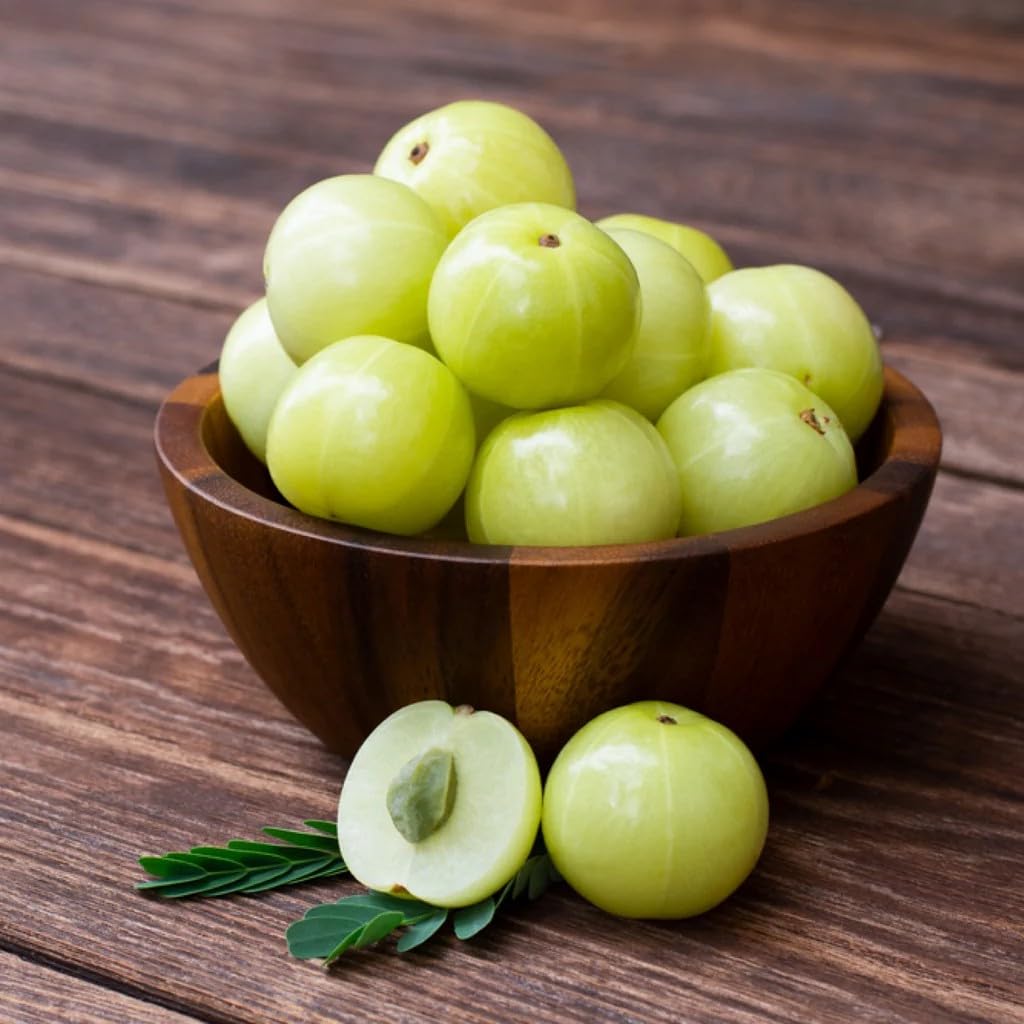 Amla (Gooseberry) Hybrid Clone Live Plant | Early Fruiting Amalaki Tree
