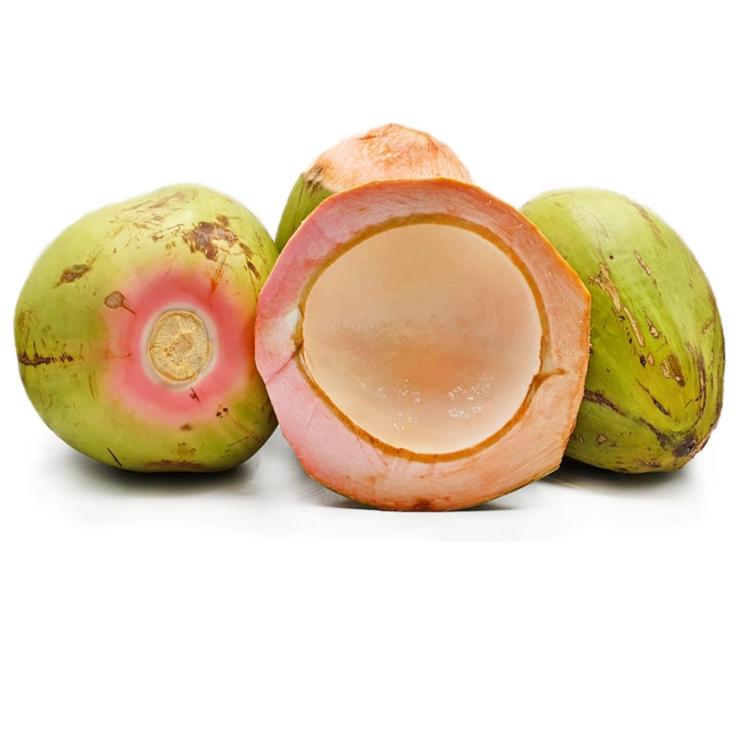 Pink Coconut Dwarf Hybrid Live Plant