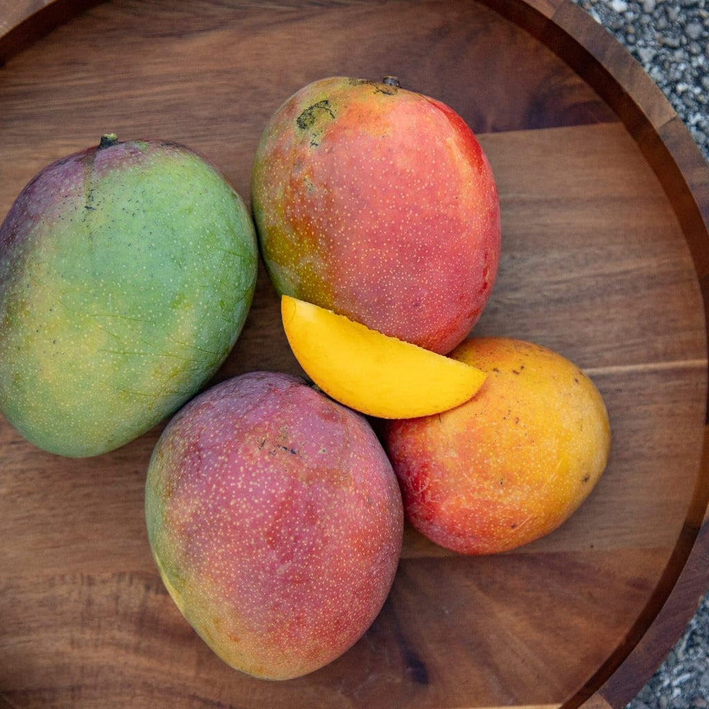 Honey Kiss Mango (Thailand) Grafted