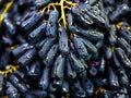 Black Seedless Grape (Angoor) Live Plant | Sweet Hybrid Air Layered Variety